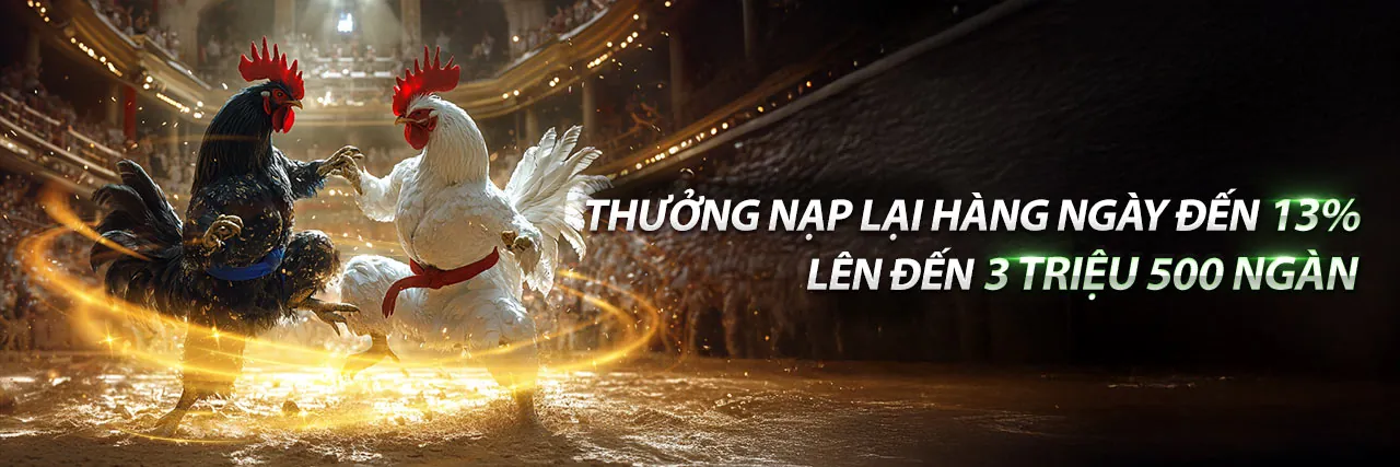 Tin tức c54 casino mới nhất
